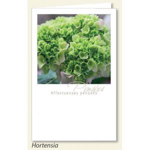 Carte de condoléances Hortensia